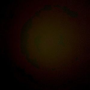 Meet your Posher, Jayme